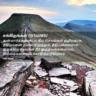 Picture 02 - சங்கீதங்கள் 7:9 TAMIRV - துன்மார்க்கனுடைய - Bible Verse Picture