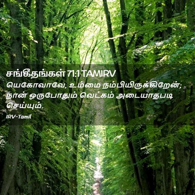 Picture 02 - சங்கீதங்கள் 71:1 TAMIRV - யெகோவாவே, உம்மை - Bible Verse Picture