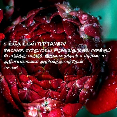 Picture 02 - சங்கீதங்கள் 71:17 TAMIRV - தேவனே, என்னுடைய - Bible Verse Picture