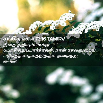 Picture 02 - சங்கீதங்கள் 73:16 TAMIRV - இதை - Bible Verse Picture