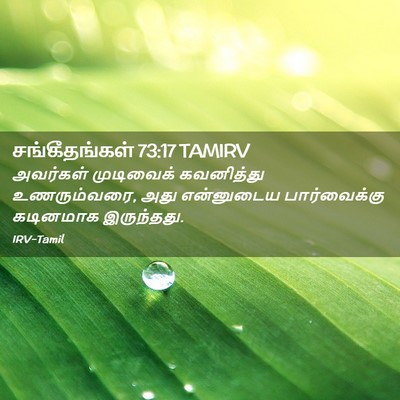 Picture 02 - சங்கீதங்கள் 73:17 TAMIRV - அவர்கள் முடிவைக் - Bible Verse Picture