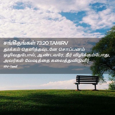 Picture 02 - சங்கீதங்கள் 73:20 TAMIRV - தூக்கம் - Bible Verse Picture