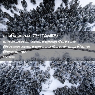 Picture 02 - சங்கீதங்கள் 73:4 TAMIRV - மரணம்வரை - Bible Verse Picture