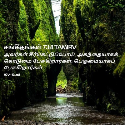Picture 02 - சங்கீதங்கள் 73:8 TAMIRV - அவர்கள் - Bible Verse Picture