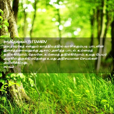 Picture 02 - சங்கீதங்கள் 75:1 TAMIRV - அல்தஷ்கேத் - Bible Verse Picture