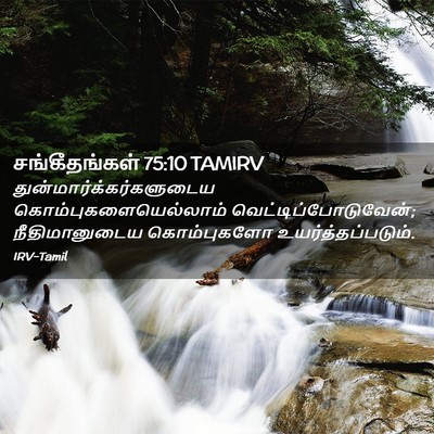 Picture 02 - சங்கீதங்கள் 75:10 TAMIRV -  - Bible Verse Picture