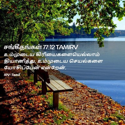 Picture 02 - சங்கீதங்கள் 77:12 TAMIRV - உம்முடைய - Bible Verse Picture