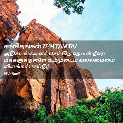 Picture 02 - சங்கீதங்கள் 77:14 TAMIRV - அதிசயங்களைச் - Bible Verse Picture
