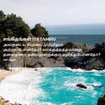 Picture 02 - சங்கீதங்கள் 77:8 TAMIRV - அவருடைய கிருபை - Bible Verse Picture
