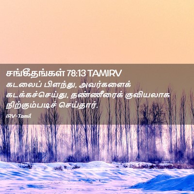 Picture 02 - சங்கீதங்கள் 78:13 TAMIRV - கடலைப் பிளந்து, - Bible Verse Picture