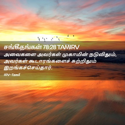 Picture 02 - சங்கீதங்கள் 78:28 TAMIRV - அவைகளை அவர்கள் - Bible Verse Picture