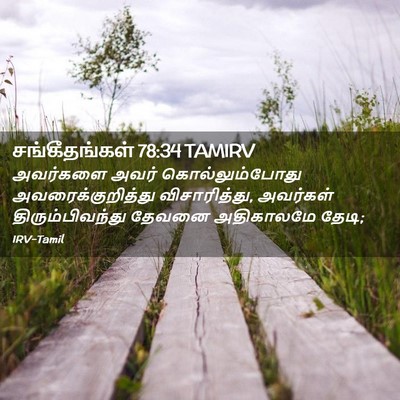 Picture 02 - சங்கீதங்கள் 78:34 TAMIRV - அவர்களை அவர் - Bible Verse Picture