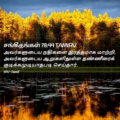 Picture 02 - சங்கீதங்கள் 78:44 TAMIRV - அவர்களுடைய நதிகளை - Bible Verse Picture