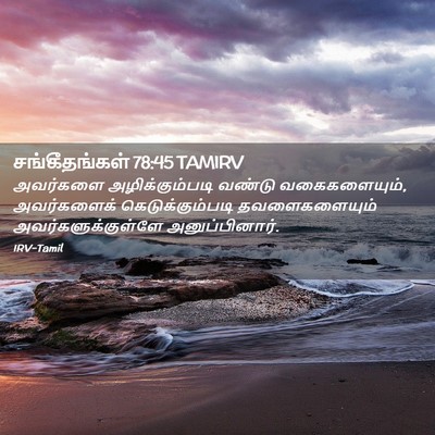 Picture 02 - சங்கீதங்கள் 78:45 TAMIRV - அவர்களை - Bible Verse Picture