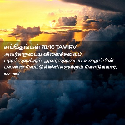 Picture 02 - சங்கீதங்கள் 78:46 TAMIRV - அவர்களுடைய - Bible Verse Picture