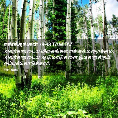 Picture 02 - சங்கீதங்கள் 78:48 TAMIRV - அவர்களுடைய - Bible Verse Picture