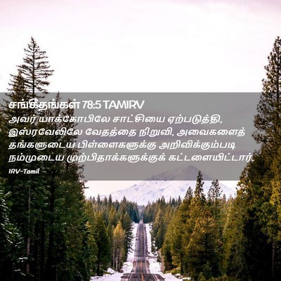 Picture 02 - சங்கீதங்கள் 78:5 TAMIRV - அவர் யாக்கோபிலே - Bible Verse Picture