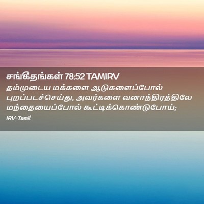 Picture 02 - சங்கீதங்கள் 78:52 TAMIRV - தம்முடைய மக்களை - Bible Verse Picture