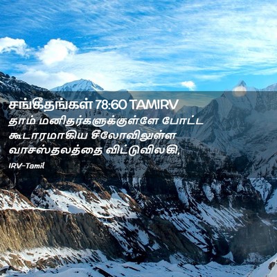 Picture 02 - சங்கீதங்கள் 78:60 TAMIRV - தாம் - Bible Verse Picture
