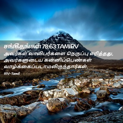 Picture 02 - சங்கீதங்கள் 78:63 TAMIRV - அவர்கள் - Bible Verse Picture