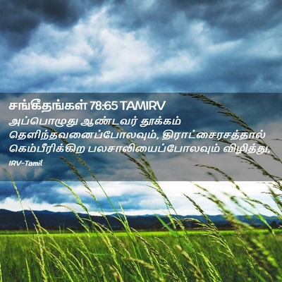 Picture 02 - சங்கீதங்கள் 78:65 TAMIRV - அப்பொழுது ஆண்டவர் - Bible Verse Picture