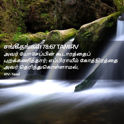 Picture 02 - சங்கீதங்கள் 78:67 TAMIRV - அவர் யோசேப்பின் - Bible Verse Picture