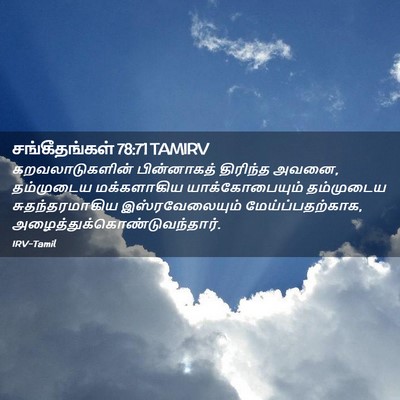 Picture 02 - சங்கீதங்கள் 78:71 TAMIRV - கறவலாடுகளின் - Bible Verse Picture