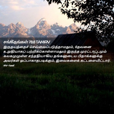 Picture 02 - சங்கீதங்கள் 78:8 TAMIRV - இருதயத்தைச் - Bible Verse Picture