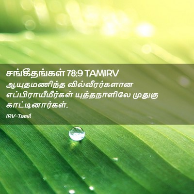 Picture 02 - சங்கீதங்கள் 78:9 TAMIRV - ஆயுதமணிந்த - Bible Verse Picture