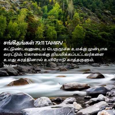 Picture 02 - சங்கீதங்கள் 79:11 TAMIRV - கட்டுண்டவனுடைய - Bible Verse Picture