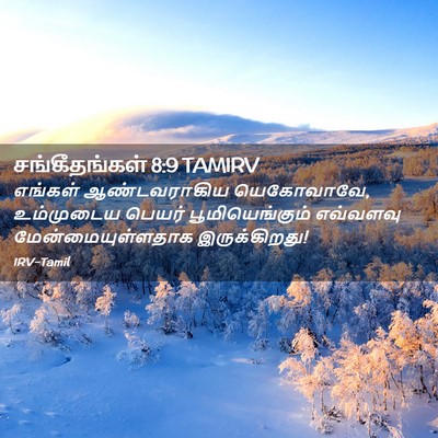 Picture 02 - சங்கீதங்கள் 8:9 TAMIRV - எங்கள் ஆண்டவராகிய - Bible Verse Picture