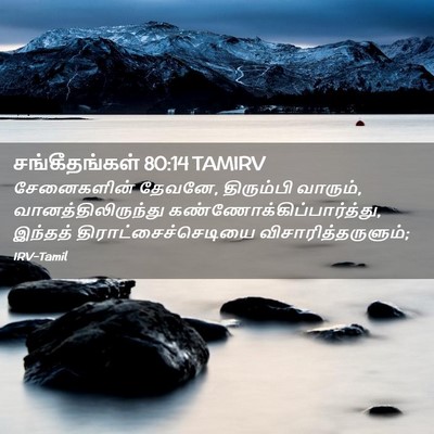 Picture 02 - சங்கீதங்கள் 80:14 TAMIRV - சேனைகளின் தேவனே, - Bible Verse Picture