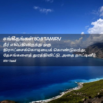 Picture 02 - சங்கீதங்கள் 80:8 TAMIRV - நீர் - Bible Verse Picture