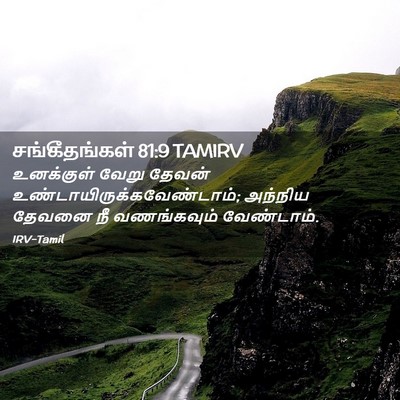 Picture 02 - சங்கீதங்கள் 81:9 TAMIRV - உனக்குள் வேறு - Bible Verse Picture