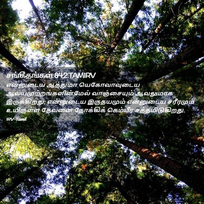 Picture 02 - சங்கீதங்கள் 84:2 TAMIRV - என்னுடைய ஆத்துமா - Bible Verse Picture