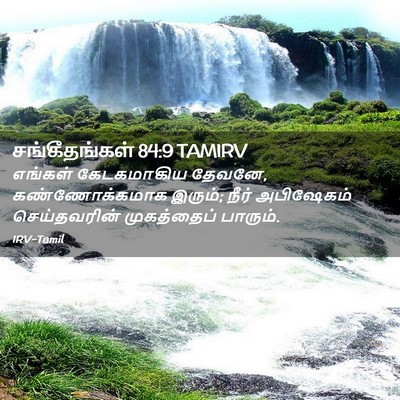 Picture 02 - சங்கீதங்கள் 84:9 TAMIRV - எங்கள் கேடகமாகிய - Bible Verse Picture
