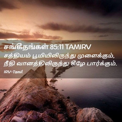 Picture 02 - சங்கீதங்கள் 85:11 TAMIRV - சத்தியம் - Bible Verse Picture