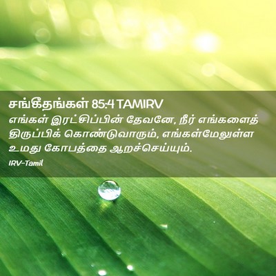 Picture 02 - சங்கீதங்கள் 85:4 TAMIRV - எங்கள் - Bible Verse Picture
