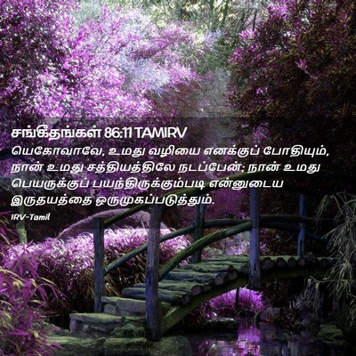 Picture 02 - சங்கீதங்கள் 86:11 TAMIRV - யெகோவாவே, உமது - Bible Verse Picture