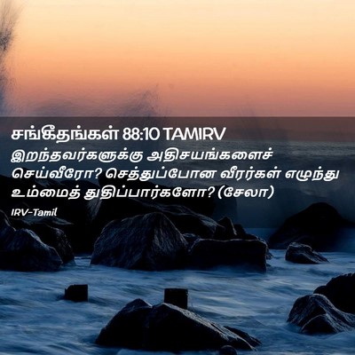 Picture 02 - சங்கீதங்கள் 88:10 TAMIRV - இறந்தவர்களுக்கு - Bible Verse Picture
