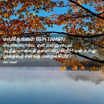 Picture 02 - சங்கீதங்கள் 88:14 TAMIRV - யெகோவாவே, ஏன் - Bible Verse Picture