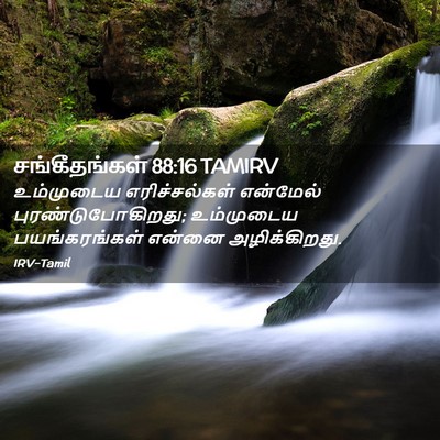 Picture 02 - சங்கீதங்கள் 88:16 TAMIRV - உம்முடைய - Bible Verse Picture