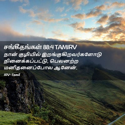 Picture 02 - சங்கீதங்கள் 88:4 TAMIRV - நான் குழியில் - Bible Verse Picture