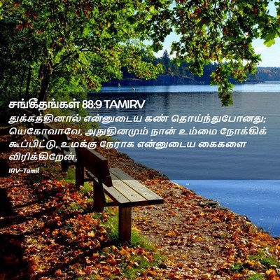 Picture 02 - சங்கீதங்கள் 88:9 TAMIRV - துக்கத்தினால் - Bible Verse Picture