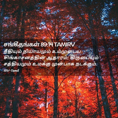 Picture 02 - சங்கீதங்கள் 89:14 TAMIRV - நீதியும் - Bible Verse Picture