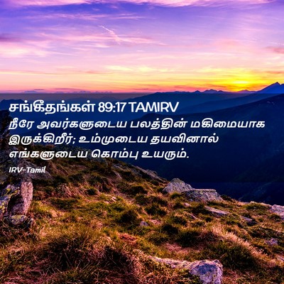 Picture 02 - சங்கீதங்கள் 89:17 TAMIRV - நீரே அவர்களுடைய - Bible Verse Picture