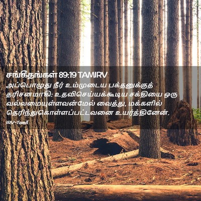 Picture 02 - சங்கீதங்கள் 89:19 TAMIRV - அப்பொழுது நீர் - Bible Verse Picture