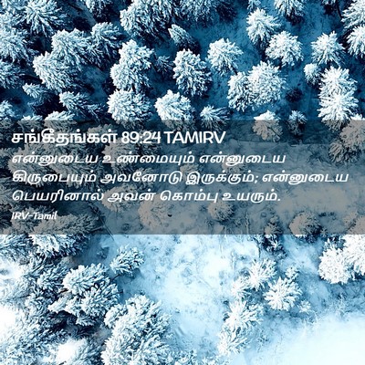 Picture 02 - சங்கீதங்கள் 89:24 TAMIRV - என்னுடைய - Bible Verse Picture