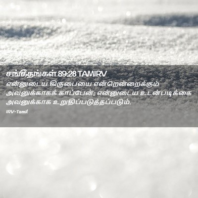 Picture 02 - சங்கீதங்கள் 89:28 TAMIRV - என்னுடைய கிருபையை - Bible Verse Picture
