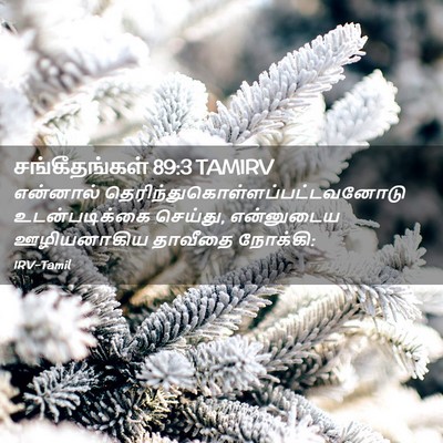 Picture 02 - சங்கீதங்கள் 89:3 TAMIRV - என்னால் - Bible Verse Picture